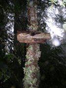 5.7.06 Wauna Point 013 